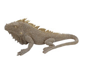 Dekofigur Leguan gold 31 cm Ginny